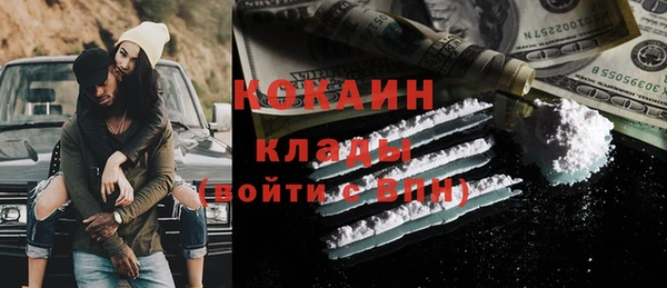 прущие грибы Горно-Алтайск