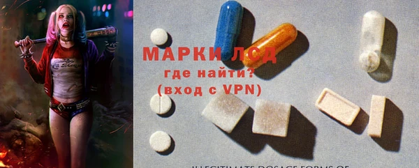 прущие грибы Горно-Алтайск