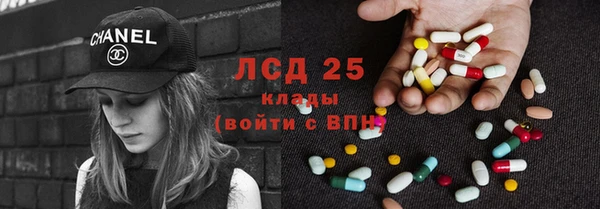 прущие грибы Горно-Алтайск