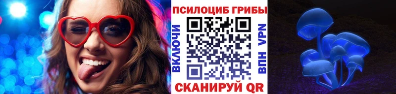Псилоцибиновые грибы Psilocybe  хочу   Ессентукская 